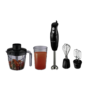 5 IN 1 HAND BLENDER